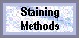 Staining Methods (2861 bytes)